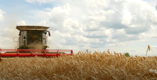 Corteva har redan redan många lösningar 